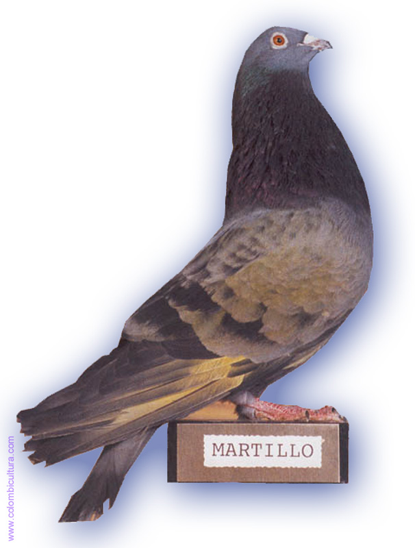 martillo