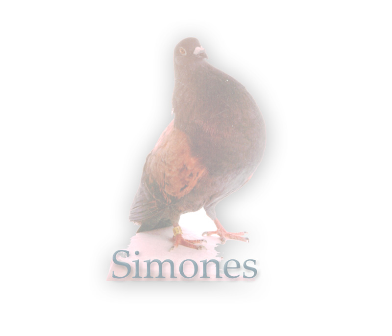 simones