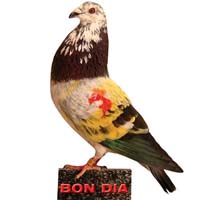 bon_dia af-101384