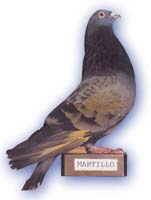 martillo
