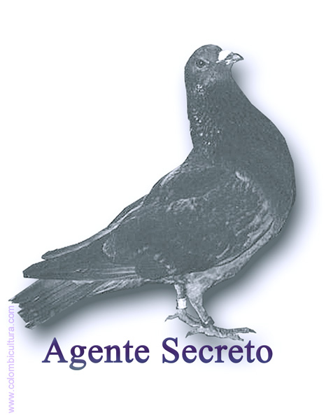 agente_secreto